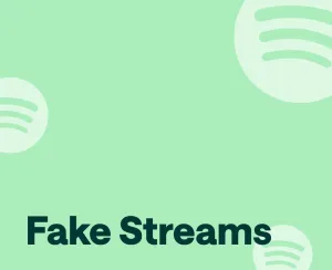 Want to Buy Spotify Streams? Read This First